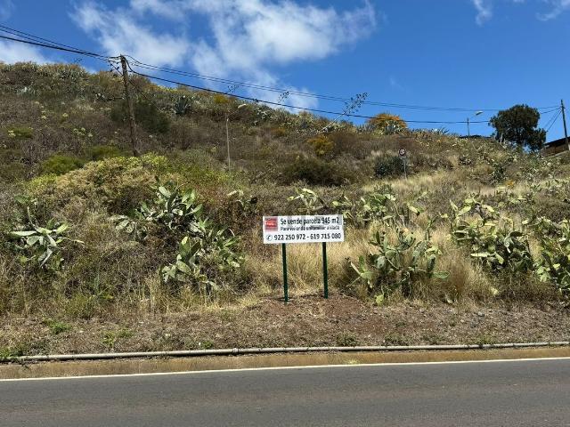 Terreno, Tegueste