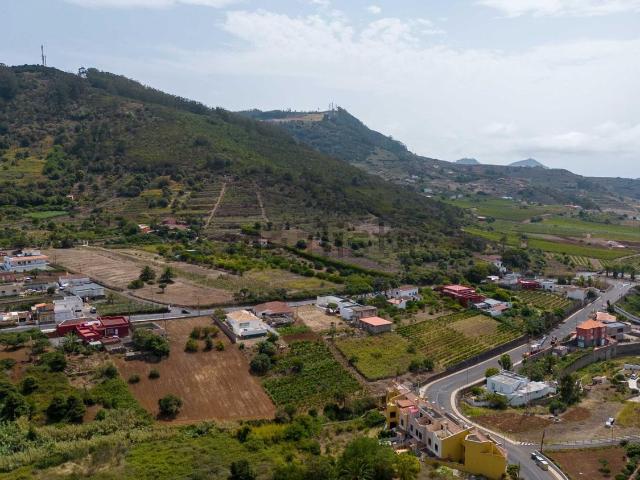 Terreno, Tegueste