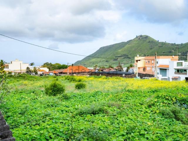 Terreno, Tegueste
