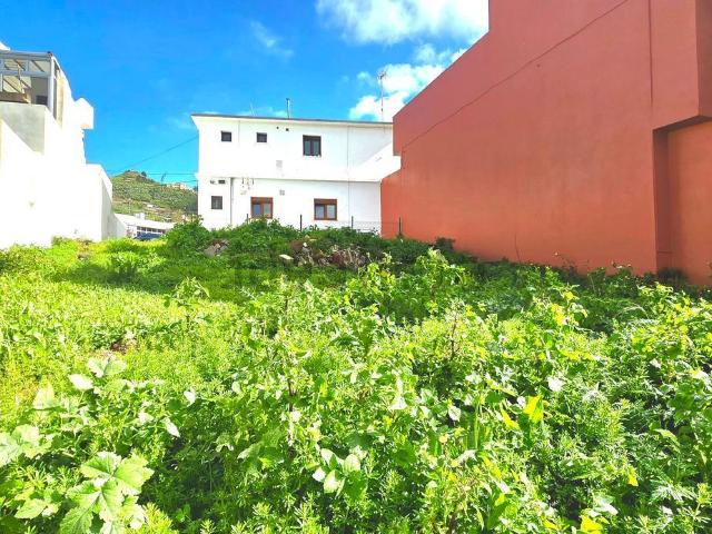Terreno, Tegueste