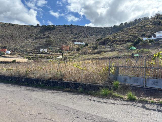 Terreno, Tegueste