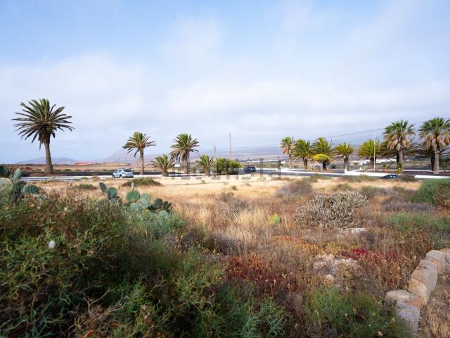 Terreno, Teguise