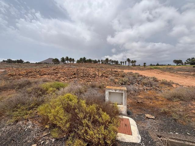Terreno, Teguise