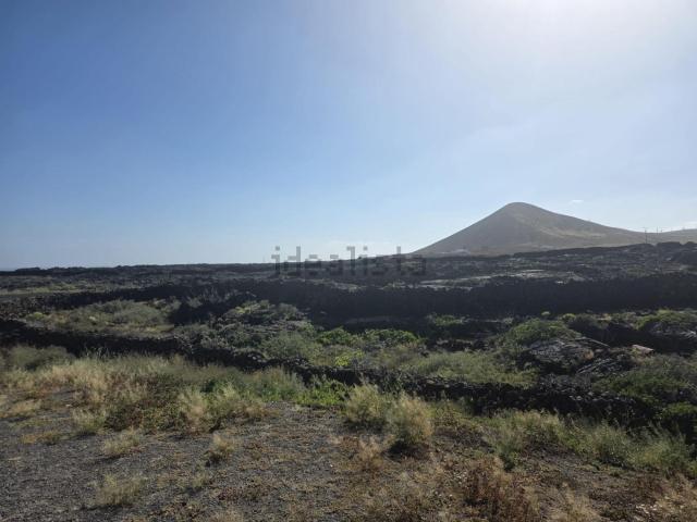 Terreno, Teguise