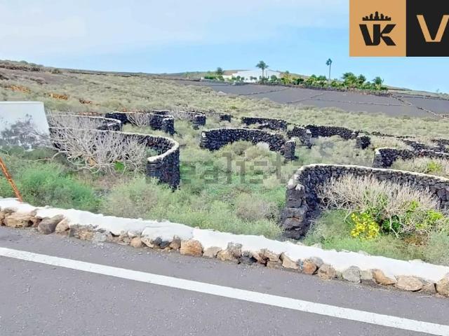 Terreno, Teguise