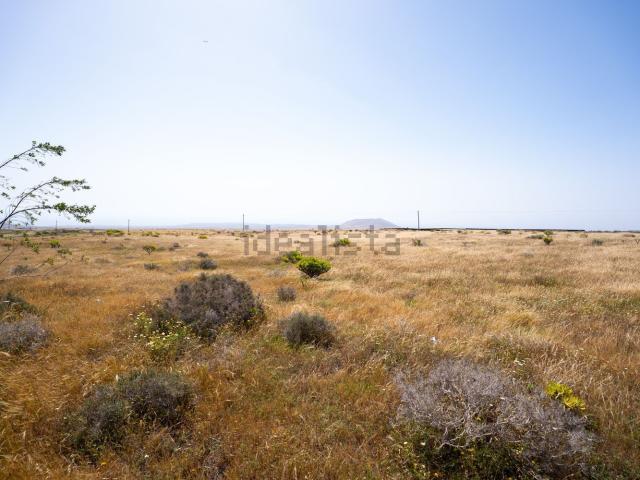 Terreno, Teguise
