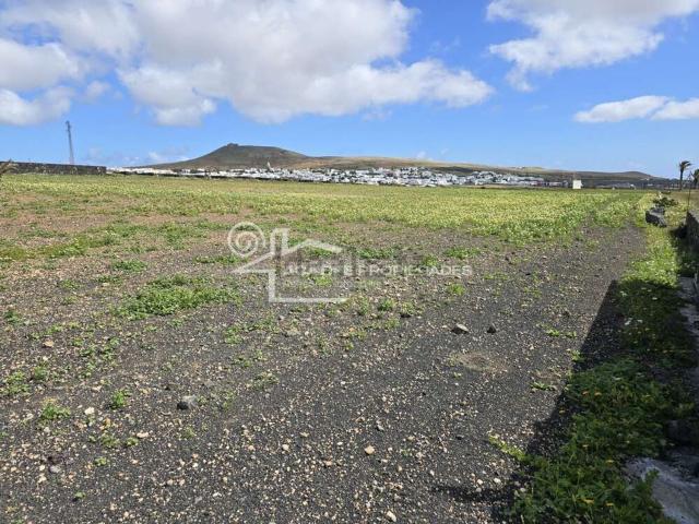 Terreno, Teguise