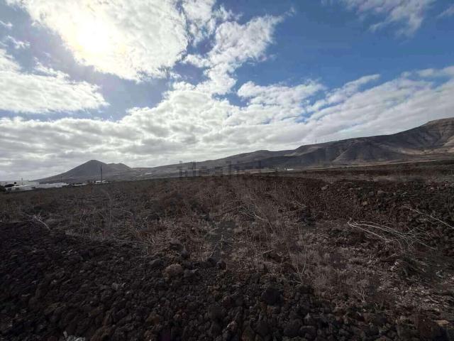 Terreno, Teguise
