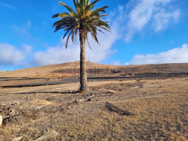 Terreno, Teguise