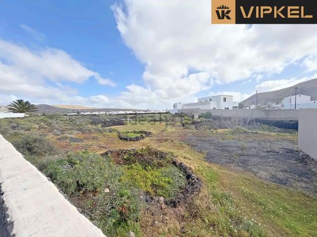 Terreno, Teguise