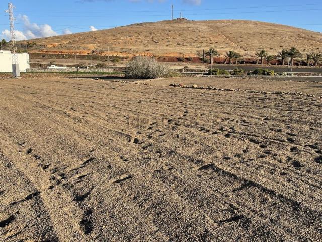 Terreno, Teguise