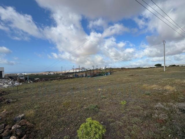 Terreno, Teguise
