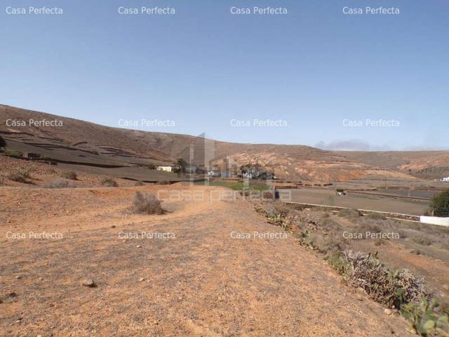 Terreno, Teguise