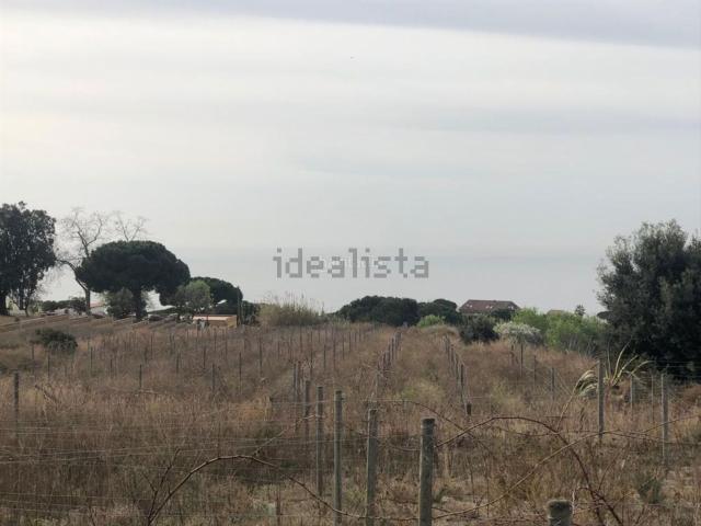 Terreno, Teià