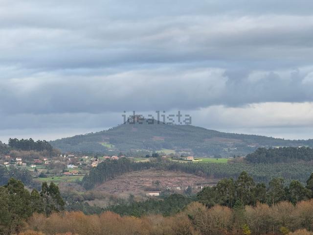 Terreno, Teo