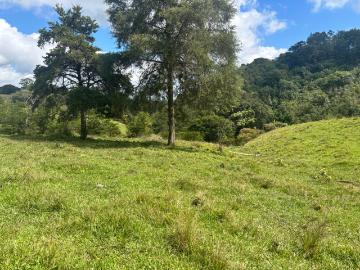 Terreno Teocelo