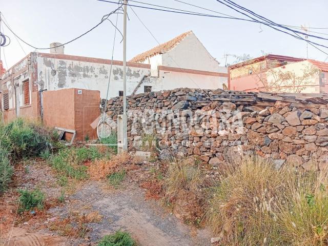 Terreno, Telde