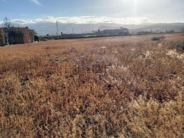 Terreno, Telde