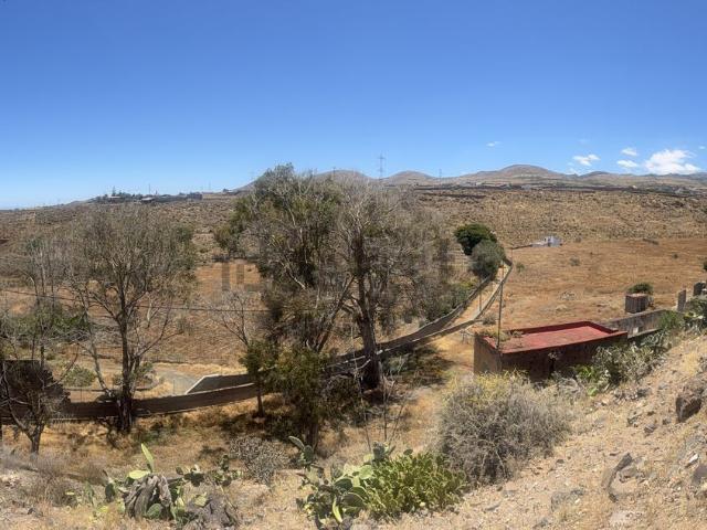 Terreno, Telde