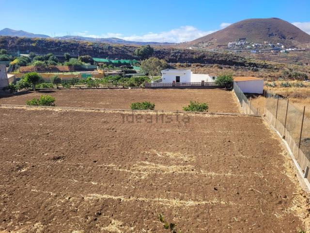Terreno, Telde