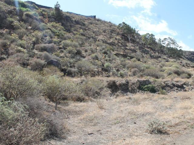Terreno, Telde