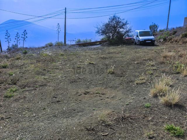 Terreno, Telde