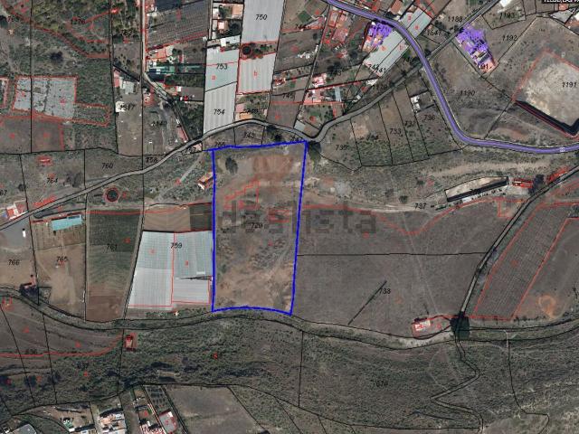 Terreno, Telde