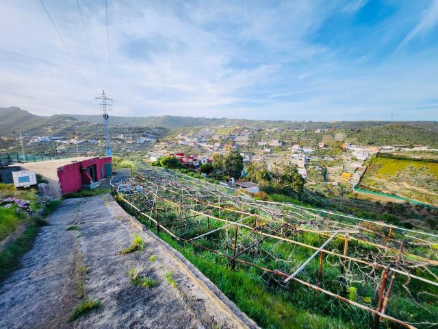 Terreno, Telde
