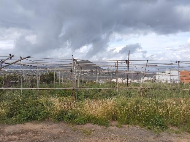 Terreno, Telde