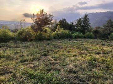 Terreno Tenancingo de Degollado