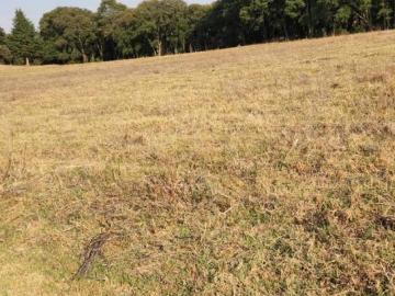 Terreno Tepexoyuca