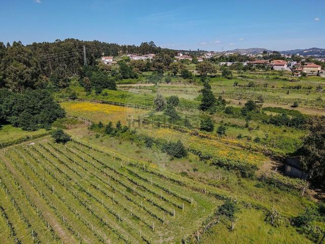 Terreno, Termas de São Vicente