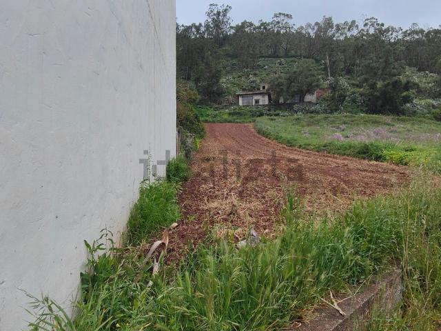 Terreno, Teror