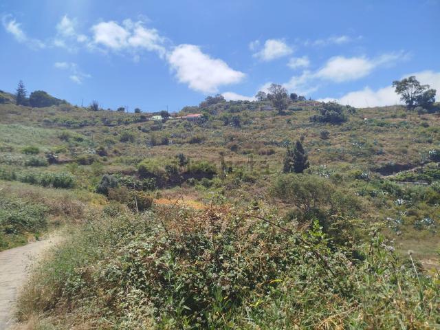 Terreno, Teror