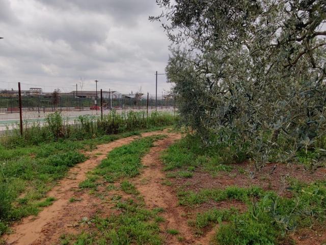 TERRENO TERCIARIO EN MAIRENA DEL ALJARAFE