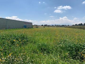 Terreno, Terreno en Venta en San Miguel Chapultepec, Estado de México