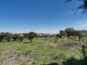 Terreno, Terreno en Venta sobre Avenida Principal, el marqués, Queretaro