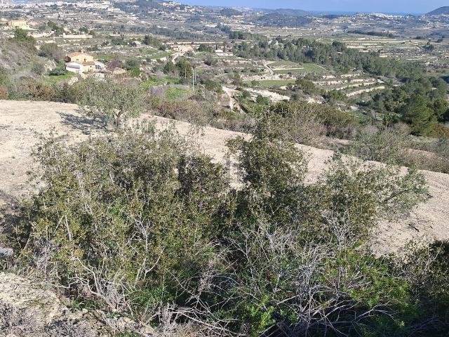 Terreno, Teulada