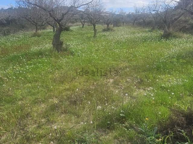 Terreno, Teulada