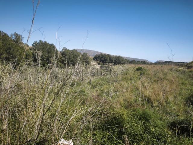 Terreno, Teulada