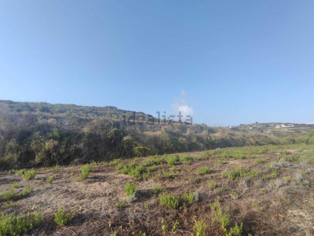 Terreno, Teulada