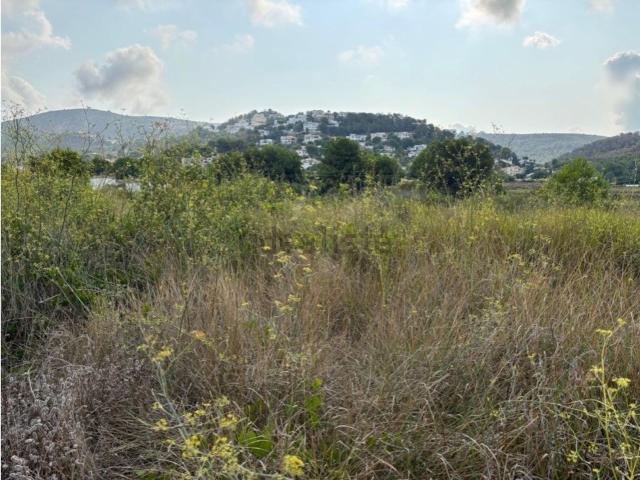 Terreno, Teulada
