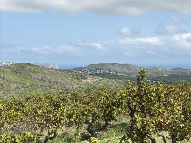 Terreno, Teulada