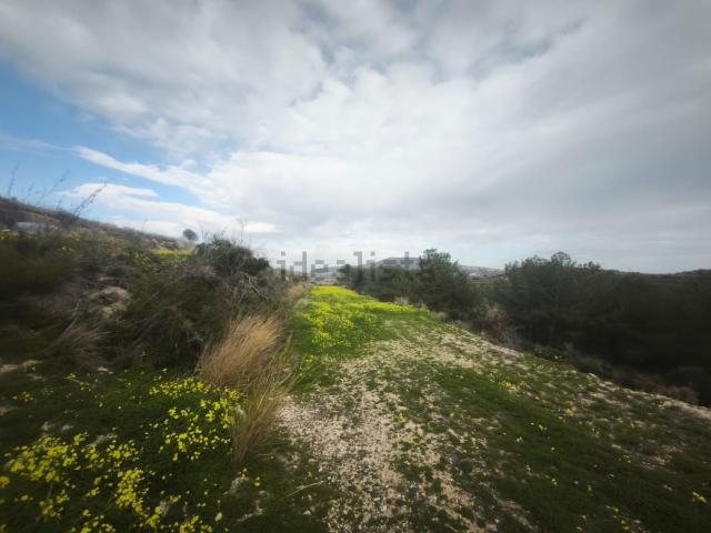 Terreno, Teulada
