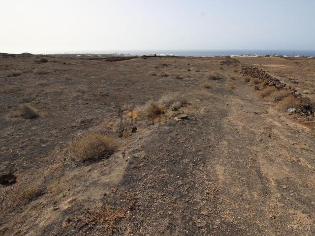 Terreno, Tias
