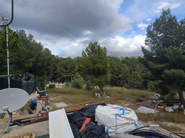 Terreno, Tibi
