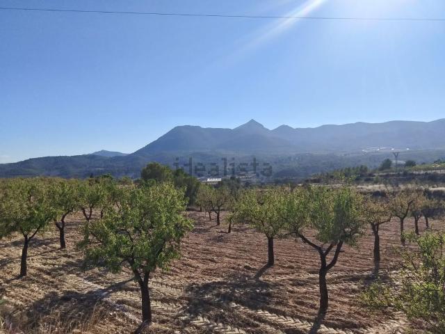 Terreno, Tibi
