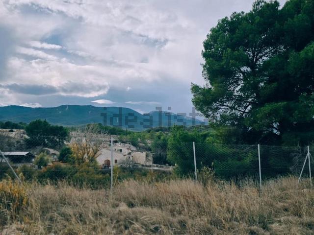 Terreno, Tibi