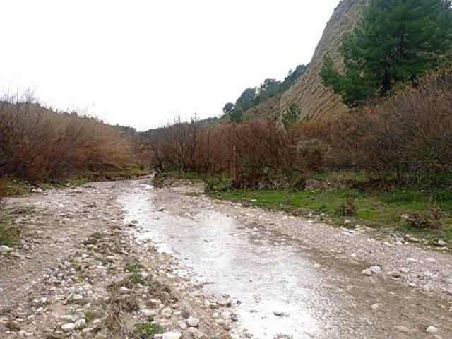 Terreno, Tibi