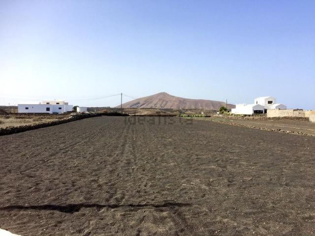 Terreno, Tinajo